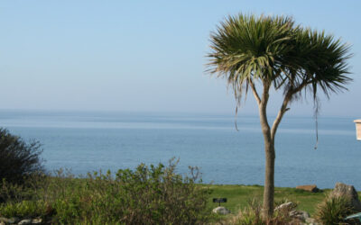 Places in Caernarfon to Visit this Easter