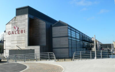 Actor Rhys Ifans Opens New £4million Cinema Extension at Galeri Caernarfon