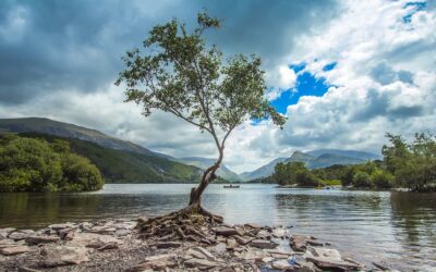 Amazing Places to Visit in North Wales