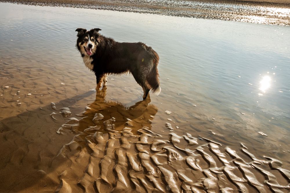 Top 5 Coastal Walks to Enjoy This Summer in North Wales